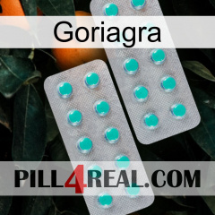 Goriagra 29